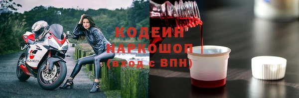 прущие грибы Белокуриха