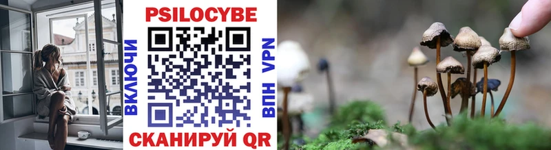 Псилоцибиновые грибы Psilocybe Микунь